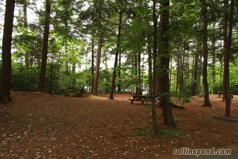 Campsite Photo of Site 114 at Rollins Pond Campground, New York - Looking at Site from Road Sign Visible