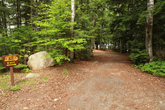Campsite Photo of Site 134 at Rollins Pond Campground, New York - Looking at Site from Road Sign Visible