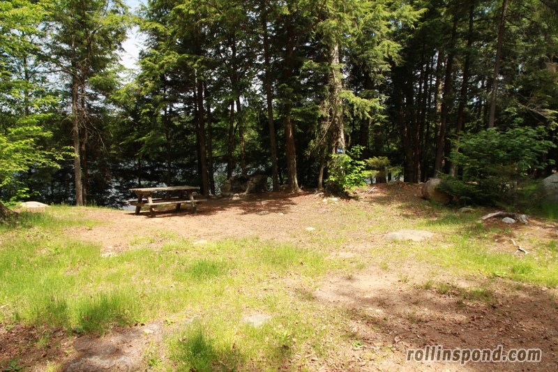 Campsite Photo of Site 154 at Rollins Pond Campground, New York - Looking at Site from Road Sign Visible