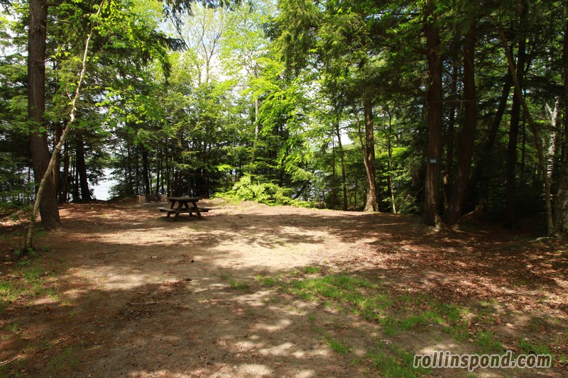 Campsite Photo of Site 169 at Rollins Pond Campground, New York - Looking at Site from Road Sign Visible