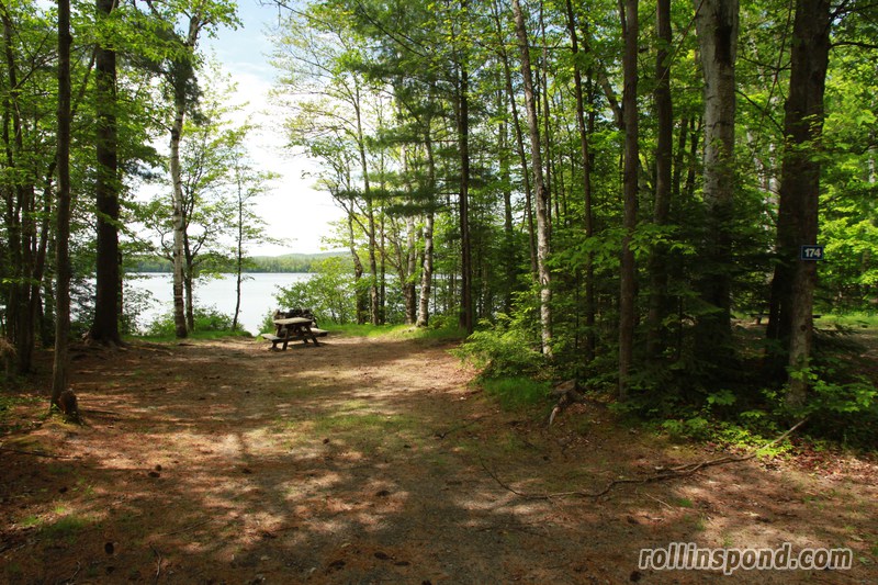 Campsite Photo of Site 174 at Rollins Pond Campground, New York - Looking at Site from Road Sign Visible