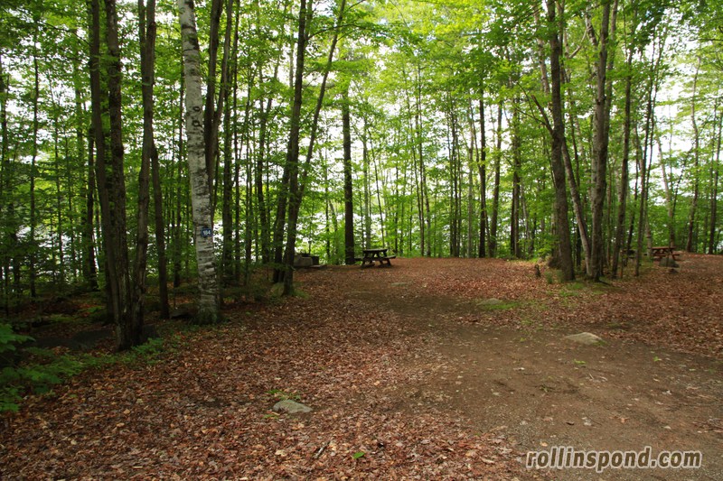 Campsite Photo of Site 184 at Rollins Pond Campground, New York - Looking at Site from Road Sign Visible