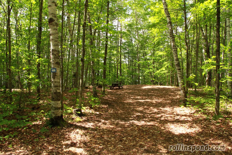 Campsite Photo of Site 189 at Rollins Pond Campground, New York - Looking at Site from Road Sign Visible