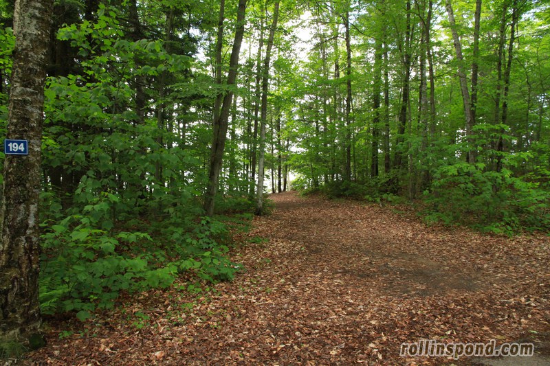 Campsite Photo of Site 194 at Rollins Pond Campground, New York - Looking at Site from Road Sign Visible