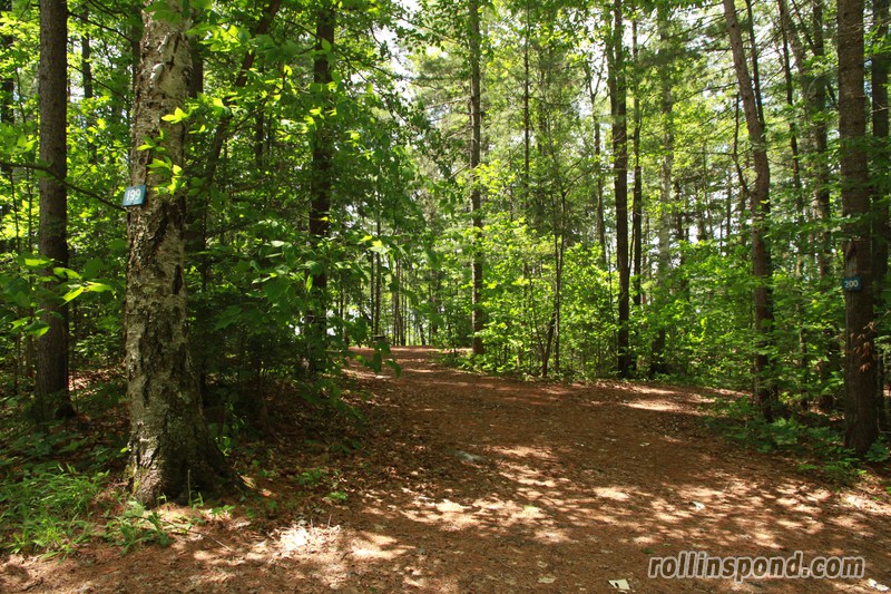 Campsite Photo of Site 199 at Rollins Pond Campground, New York - Looking at Site from Road Sign Visible