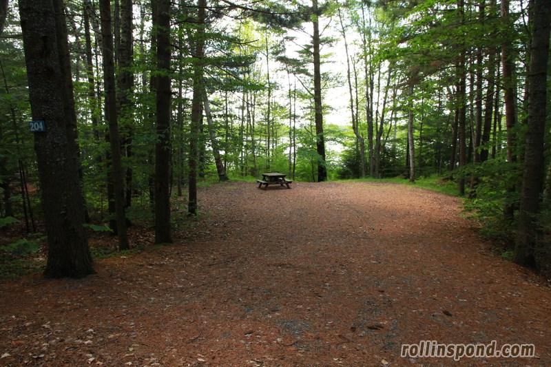 Campsite Photo of Site 204 at Rollins Pond Campground, New York - Looking at Site from Road Sign Visible