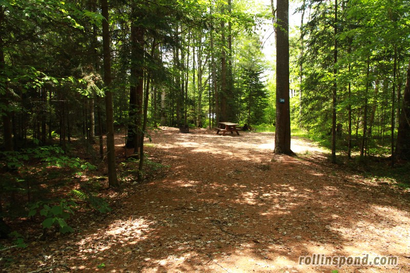 Campsite Photo of Site 209 at Rollins Pond Campground, New York - Looking at Site from Road Sign Visible