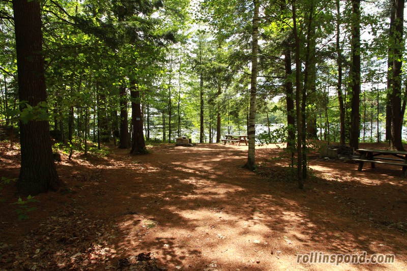 Campsite Photo of Site 224 at Rollins Pond Campground, New York - Looking at Site from Road Sign Visible