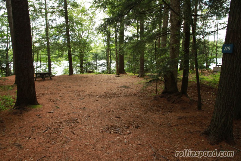 Campsite Photo of Site 229 at Rollins Pond Campground, New York - Looking at Site from Road Sign Visible