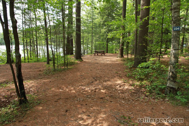 Campsite Photo of Site 234 at Rollins Pond Campground, New York - Looking at Site from Road Sign Visible