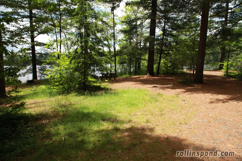 Campsite Photo of Site 239 at Rollins Pond Campground, New York - Looking at Site from Road Sign Visible