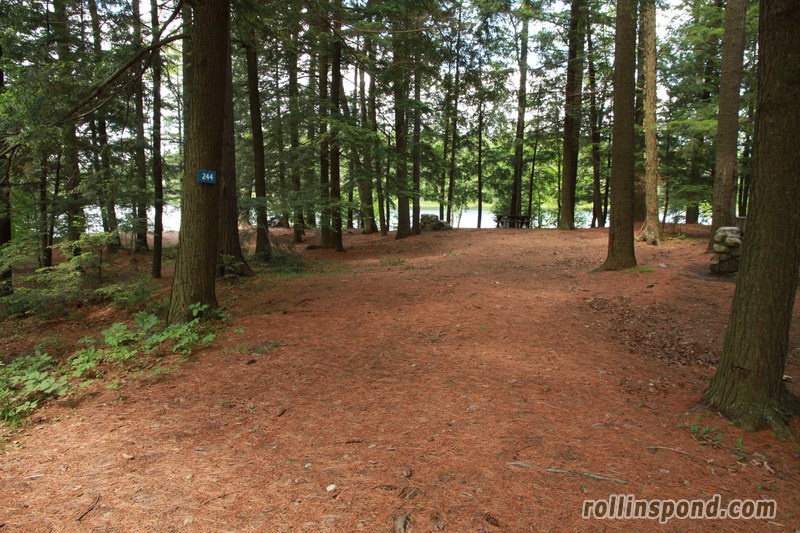Campsite Photo of Site 244 at Rollins Pond Campground, New York - Looking at Site from Road Sign Visible