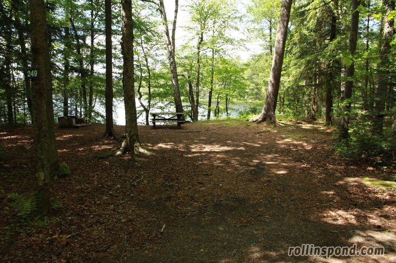 Campsite Photo of Site 249 at Rollins Pond Campground, New York - Looking at Site from Road Sign Visible