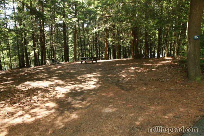 Campsite Photo of Site 254 at Rollins Pond Campground, New York - Looking at Site from Road Sign Visible