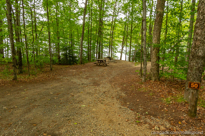 Campsite Photo of Site 50 at Rollins Pond Campground, New York - Looking at Site from Road Sign Visible