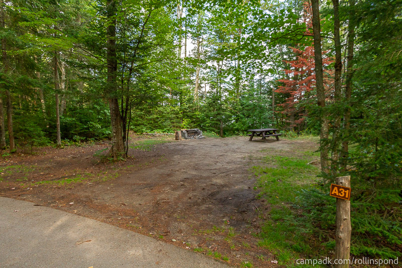 Campsite Photo of Site A31 at Rollins Pond Campground, New York - Looking at Site from Road Sign Visible