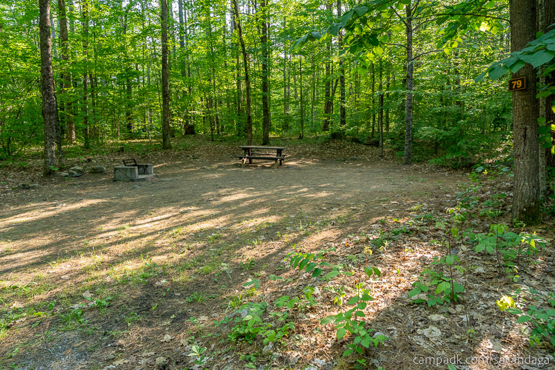 Campsite Photo of Site 79 at Sacandaga Campground, New York - Looking at Site from Road Sign Visible