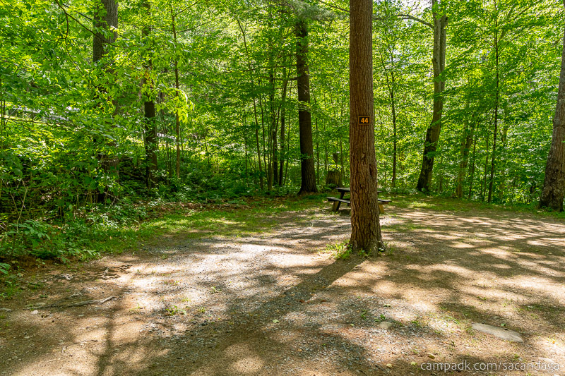 Campsite Photo of Site 44 at Sacandaga Campground, New York - Looking at Site from Road Sign Visible