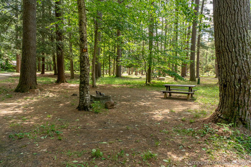 Campsite Photo of Site 54 at Sacandaga Campground, New York - Looking at Site from Road Sign Visible