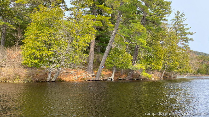 Campsite Photo of Site 85 at Saranac Lake Islands Campground, New York - View From Water on Approach