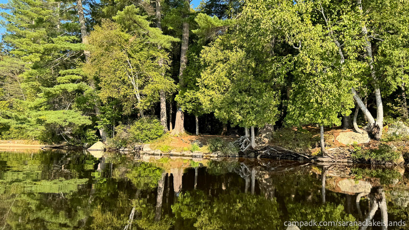 Campsite Photo of Site 42 at Saranac Lake Islands Campground, New York - View From Water on Approach