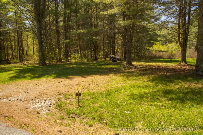Campsite Photo of Site 5 at Scaroon Manor Campground, New York - Looking at Site from Road