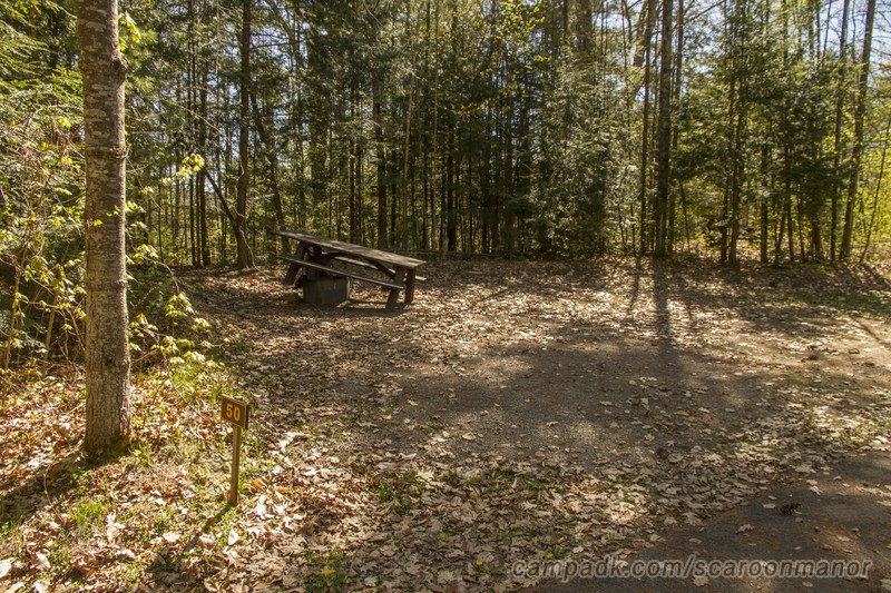 Campsite Photo of Site 50 at Scaroon Manor Campground, New York - Looking at Site from Road