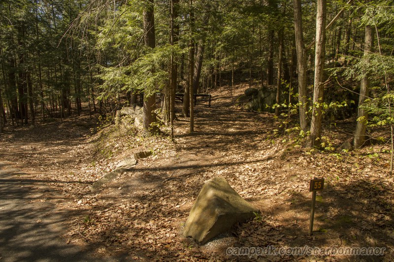 Campsite Photo of Site 55 at Scaroon Manor Campground, New York - Looking at Site from Road