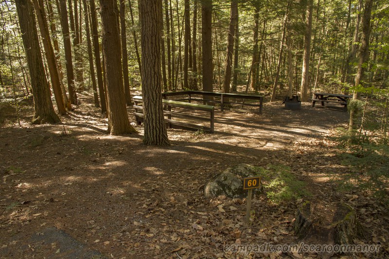 Campsite Photo of Site 60 at Scaroon Manor Campground, New York - Looking at Site from Road