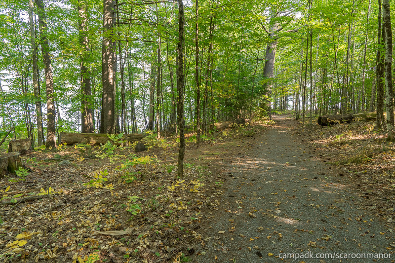 Campsite Photo of Site C2 at Scaroon Manor Campground, New York - Looking at Site from Part Way In