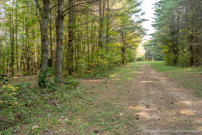 Campsite Photo of Site C5 at Scaroon Manor Campground, New York - Looking at Site from Part Way In