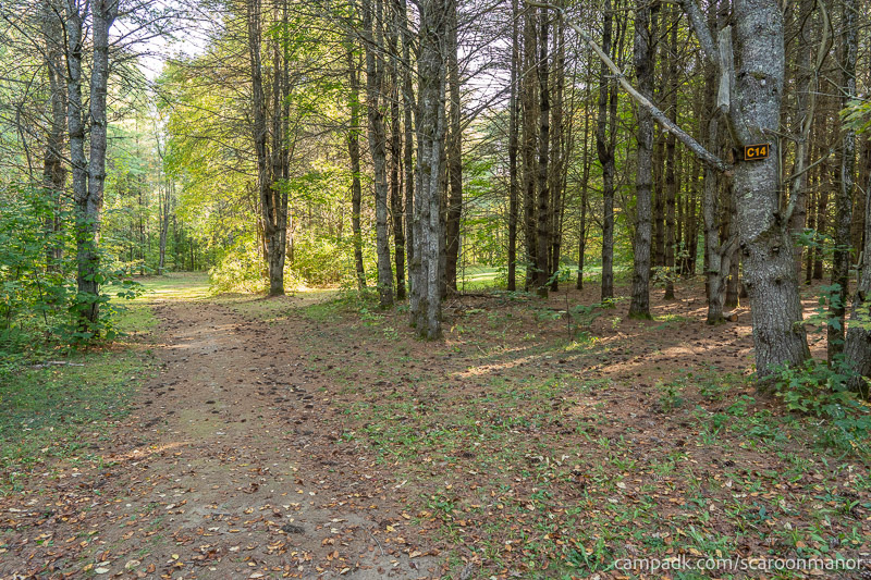 Campsite Photo of Site C14 at Scaroon Manor Campground, New York - Looking at Site from Part Way In