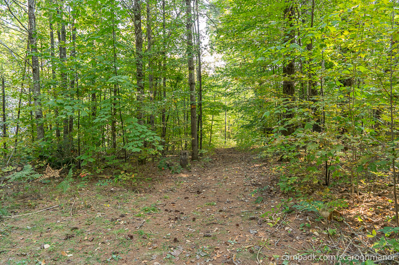 Campsite Photo of Site C11 at Scaroon Manor Campground, New York - Looking at Site from Part Way In