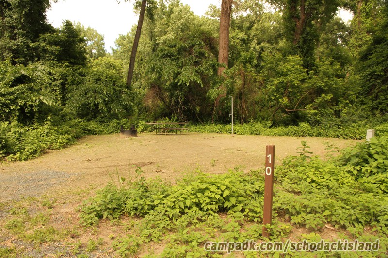 Campsite Photo of Site 10 at Schodack Island State Park, New York - Looking at Site from Road Sign Visible