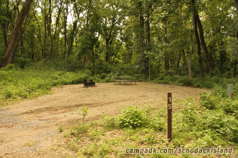 Campsite Photo of Site 15 at Schodack Island State Park, New York - Looking at Site from Road Sign Visible