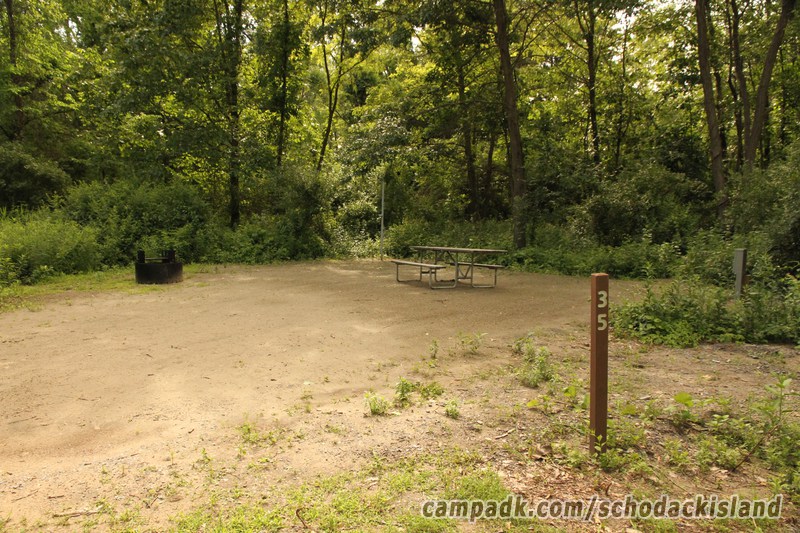 Campsite Photo of Site 35 at Schodack Island State Park, New York - Looking at Site from Road Sign Visible