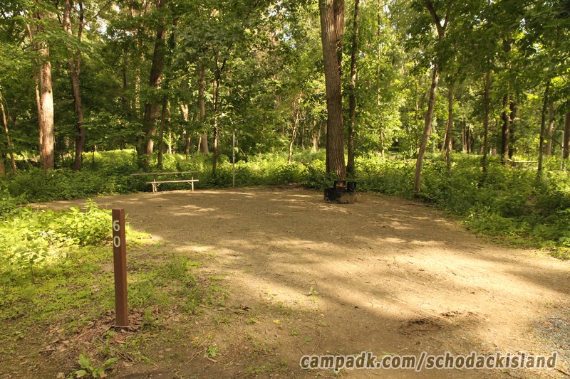 Campsite Photo of Site 60 at Schodack Island State Park, New York - Looking at Site from Road Sign Visible