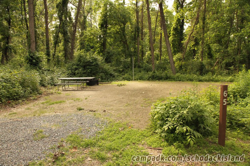 Campsite Photo of Site 65 at Schodack Island State Park, New York - Looking at Site from Road Sign Visible
