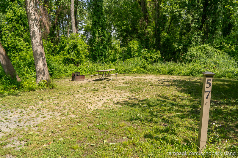 Campsite Photo of Site 57 at Schodack Island State Park, New York - Looking at Site from Road Sign Visible