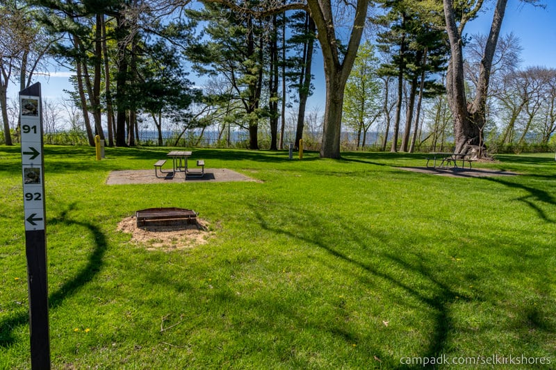 Campsite Photo of Site 91 at Selkirk Shores State Park, New York - Looking at Site from Road Sign Visible