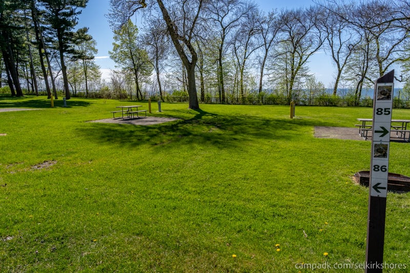 Campsite Photo of Site 86 at Selkirk Shores State Park, New York - Looking at Site from Road Sign Visible