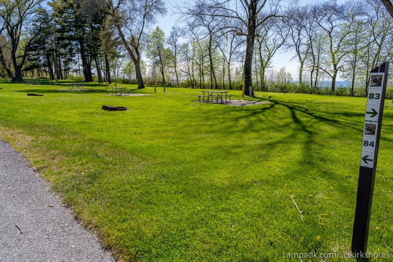 Campsite Photo of Site 84 at Selkirk Shores State Park, New York - Looking at Site from Road Sign Visible