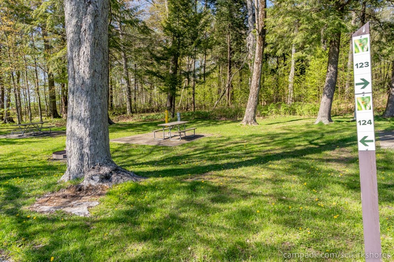 Campsite Photo of Site 124 at Selkirk Shores State Park, New York - Looking at Site from Road Sign Visible
