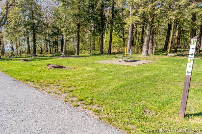 Campsite Photo of Site 121 at Selkirk Shores State Park, New York - Looking at Site from Road Sign Visible