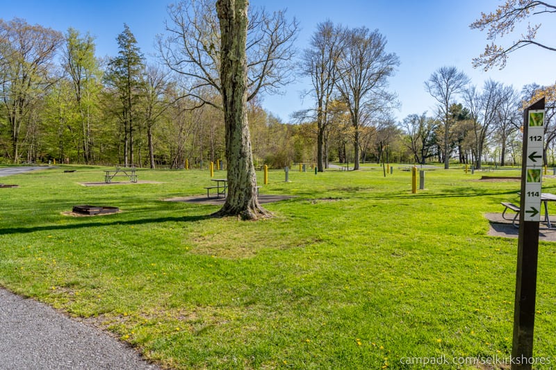 Campsite Photo of Site 112 at Selkirk Shores State Park, New York - Looking at Site from Road Sign Visible