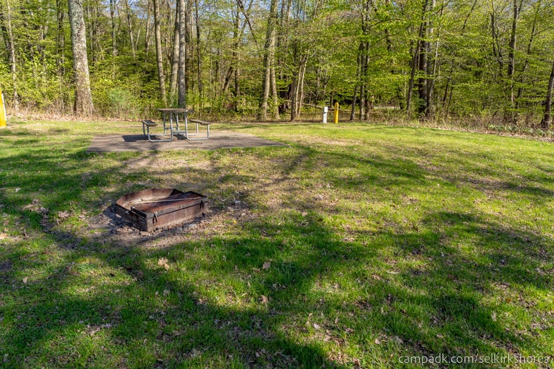 Campsite Photo of Site 104 at Selkirk Shores State Park, New York - Looking at Site from Road Sign Visible