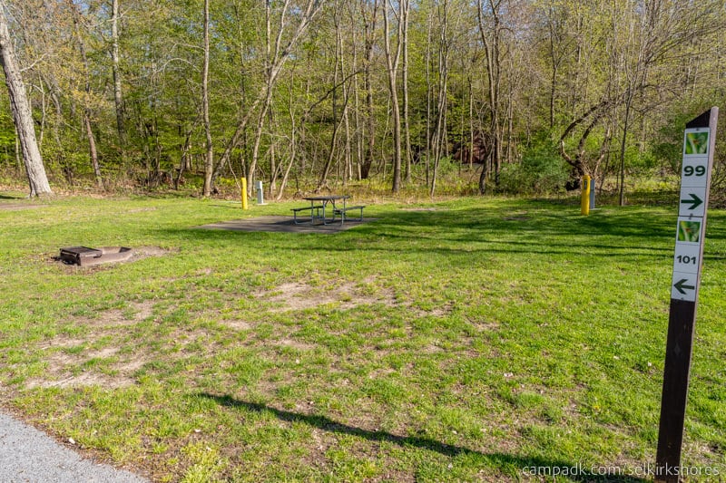 Campsite Photo of Site 101 at Selkirk Shores State Park, New York - Looking at Site from Road Sign Visible