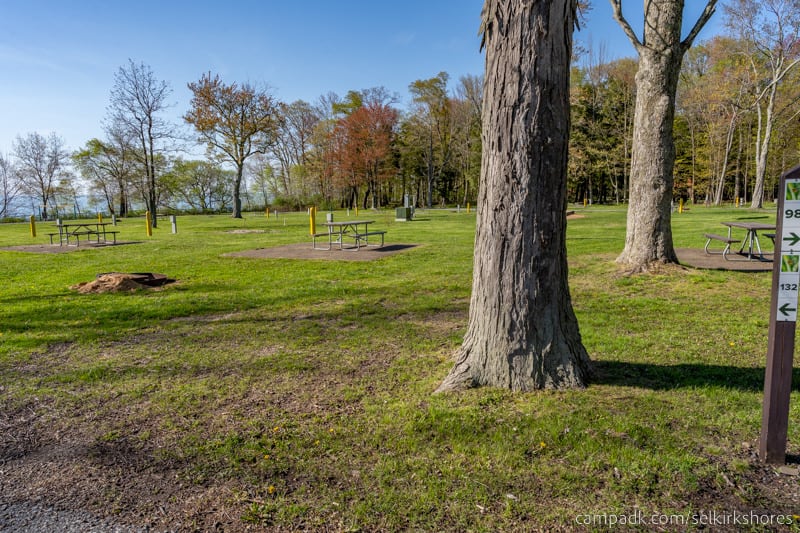 Campsite Photo of Site 132 at Selkirk Shores State Park, New York - Looking at Site from Road Sign Visible
