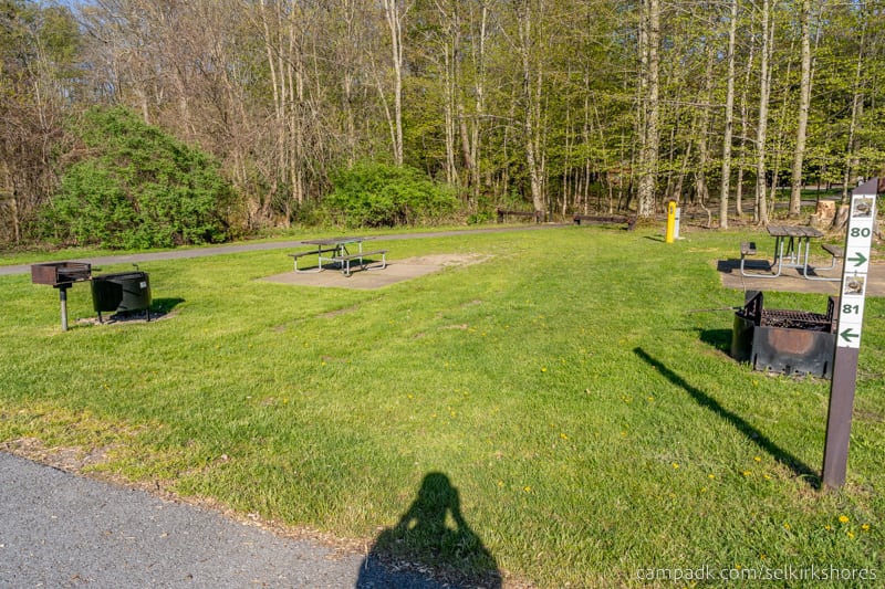 Campsite Photo of Site 81 at Selkirk Shores State Park, New York - Looking at Site from Road Sign Visible