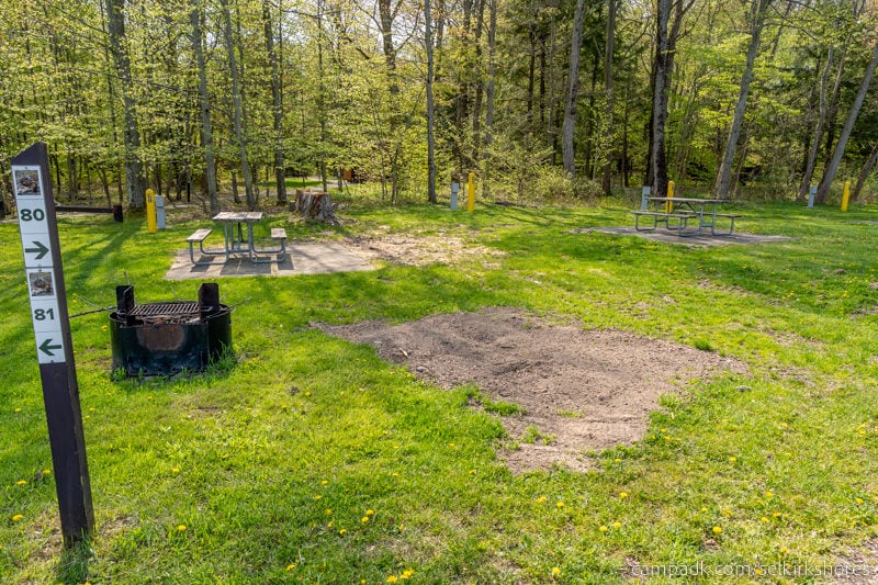 Campsite Photo of Site 80 at Selkirk Shores State Park, New York - Looking at Site from Road Sign Visible